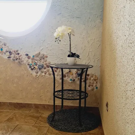 Zamorski * Władysławowo