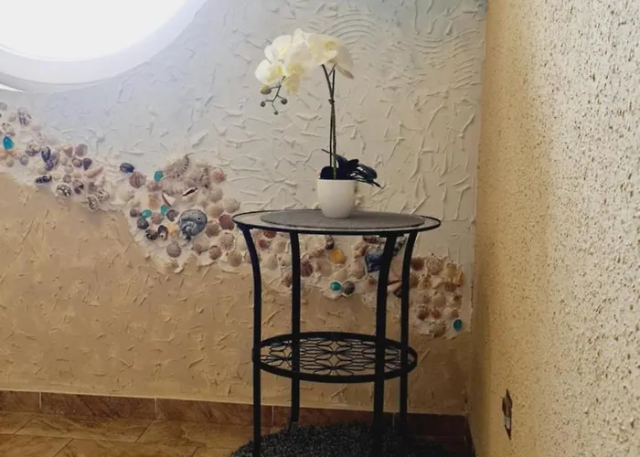 Zamorski * Władysławowo